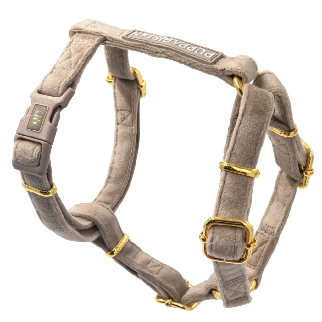 Sametový postroj typu guard pro psa s mašlí – béžový