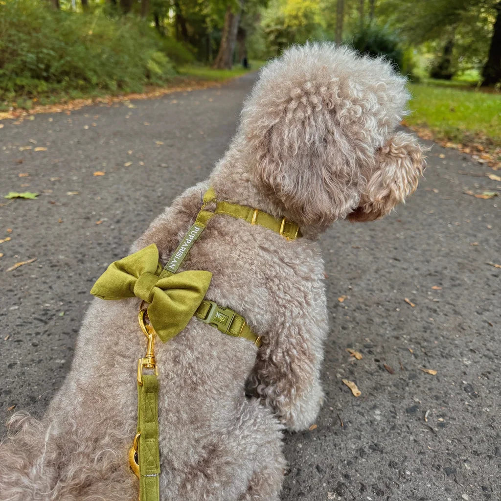Sametový postroj typu guard pro psa s mašlí 2.0 – olivově zelený