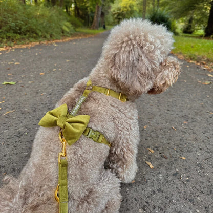 Sametový postroj typu guard pro psa s mašlí 2.0 – olivově zelený