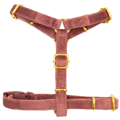 Welurowe szelki guard dla psa z kokardą 2.0 - ceglasty róż