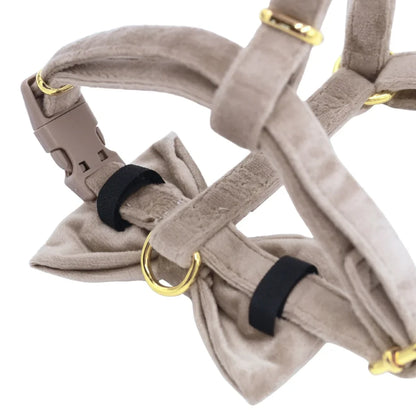 Sametový motýlek pro psa – béžový