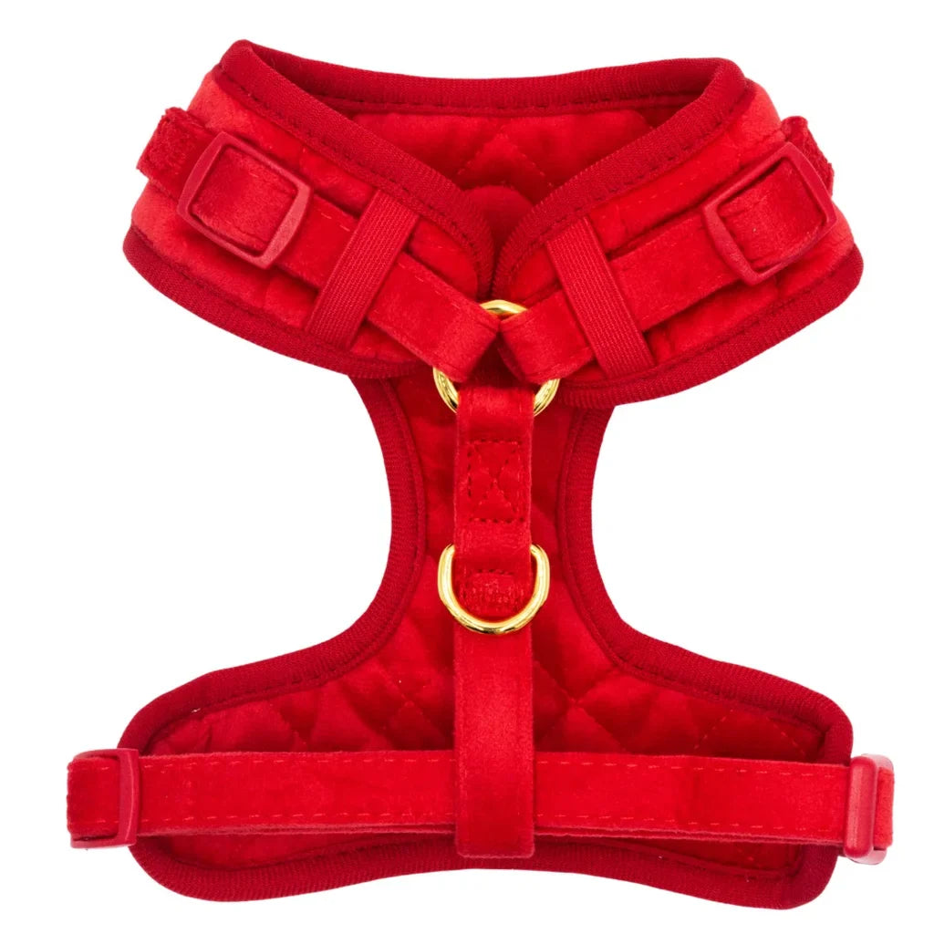 Sametový beztlakový postroj pro psa 2.0 – červený