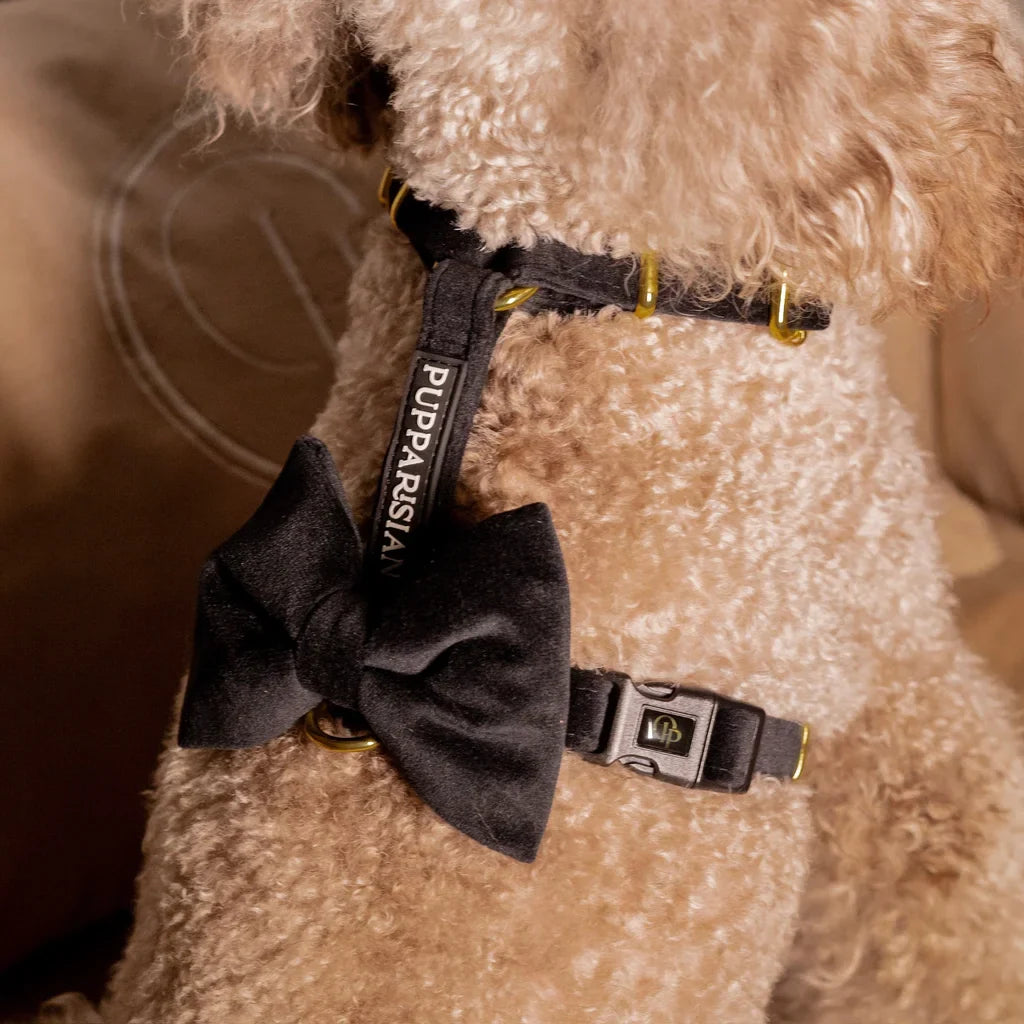 Sametový postroj typu guard pro psa 2.0 – černý