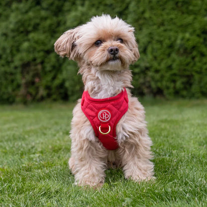 Sametový beztlakový postroj pro psa 2.0 – červený