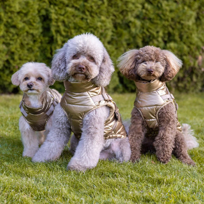 Kurtka dla psa zimowa 2w1 ocieplana wodoodporna - Złota