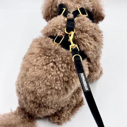 Městské vodítko pro psa 190 cm – černé