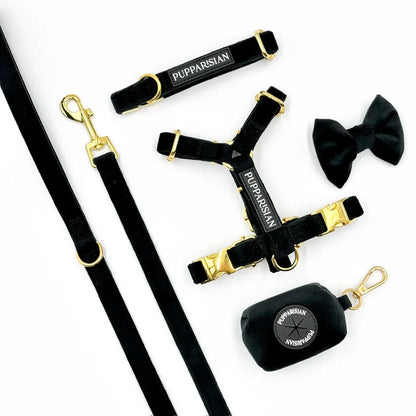 Postroj typu guard pro psa – černý