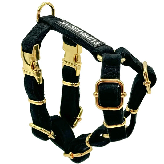Postroj typu guard pro psa – černý