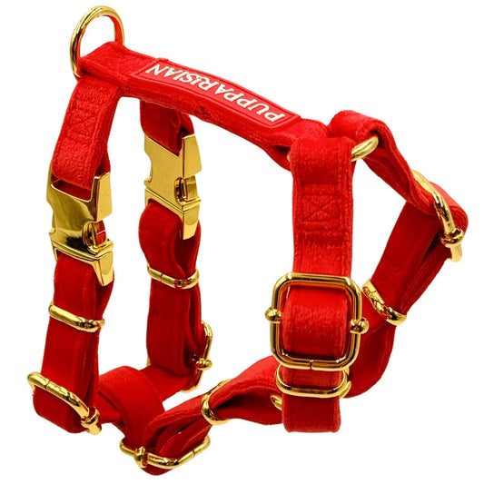 Postroj typu guard pro psa – červený
